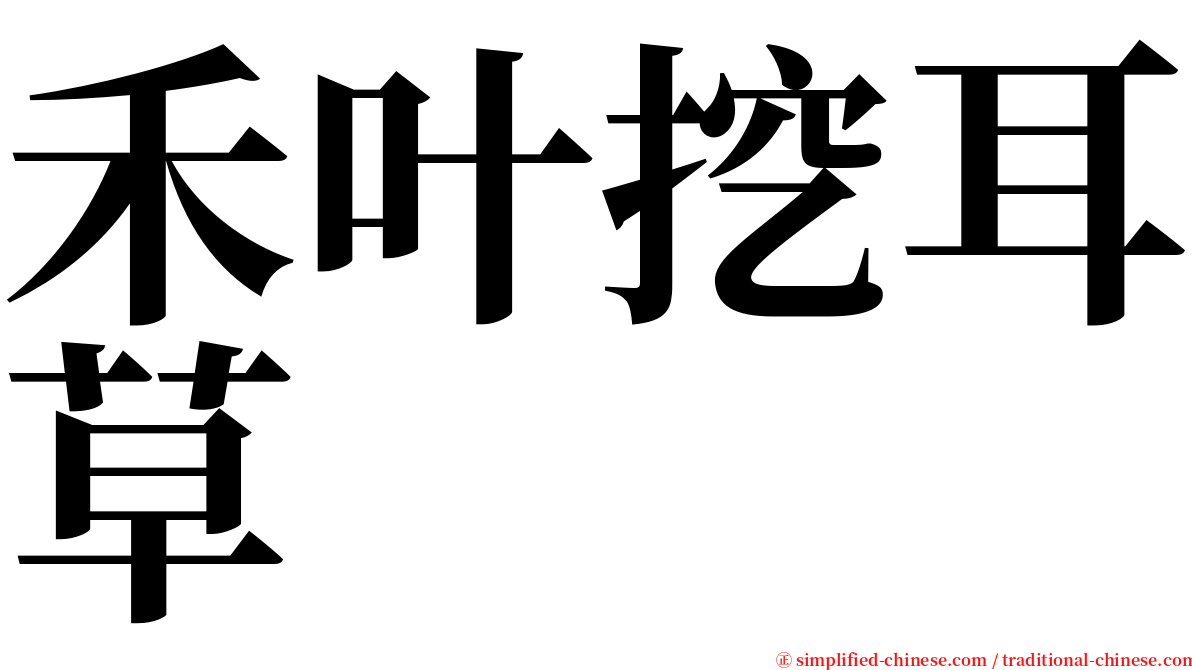 禾叶挖耳草 serif font