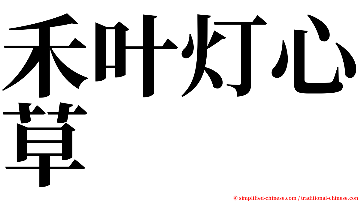 禾叶灯心草 serif font