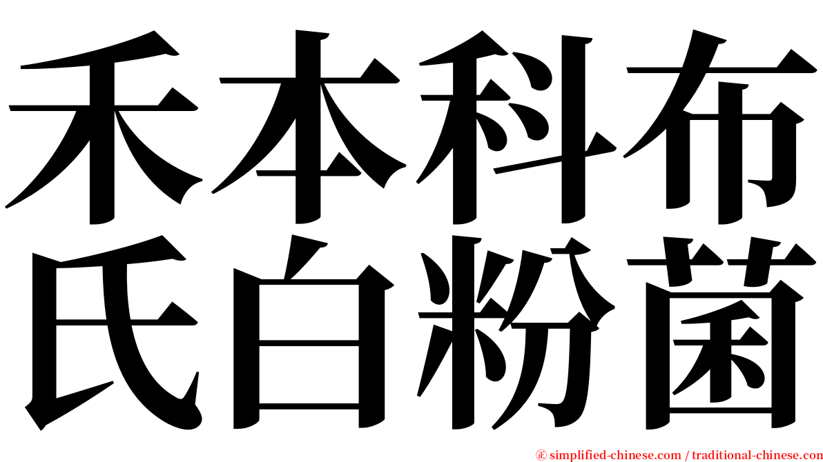 禾本科布氏白粉菌 serif font