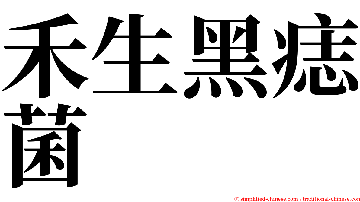 禾生黑痣菌 serif font