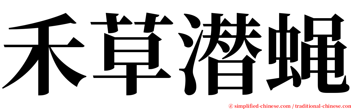 禾草潜蝇 serif font