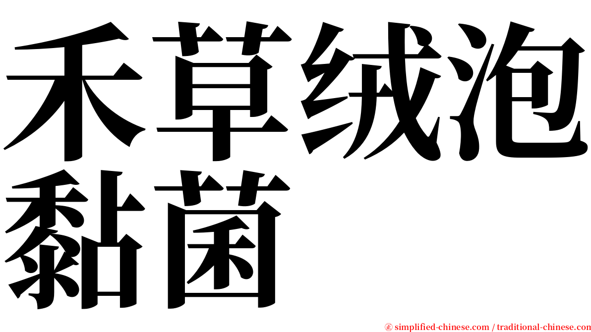 禾草绒泡黏菌 serif font