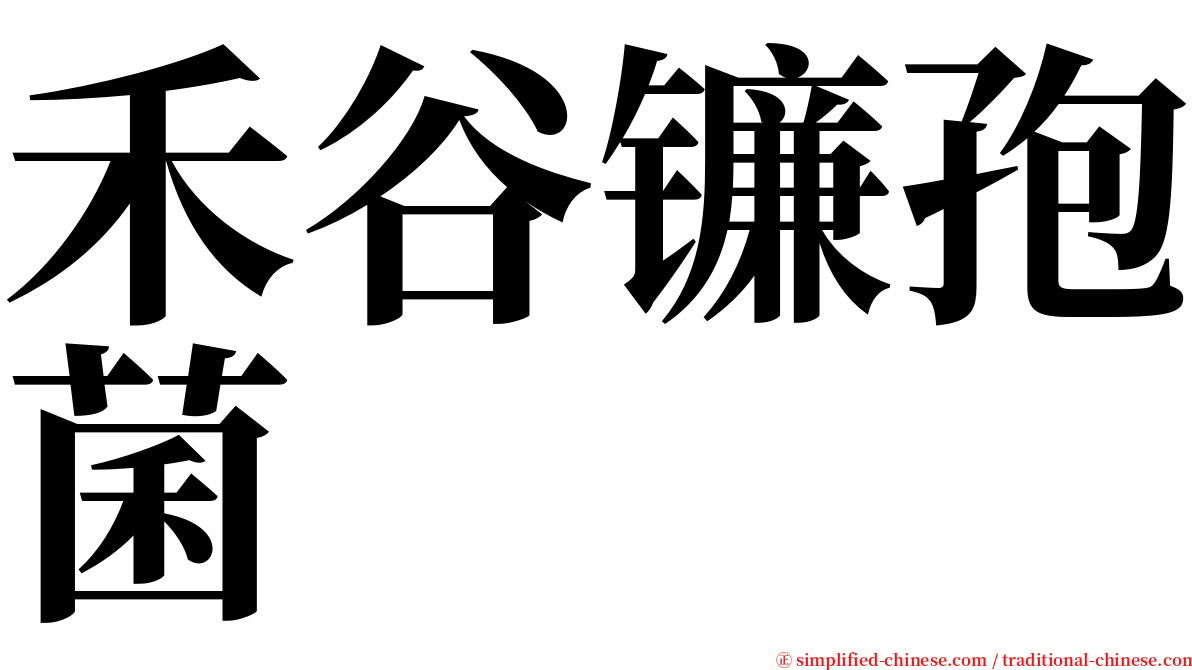 禾谷镰孢菌 serif font