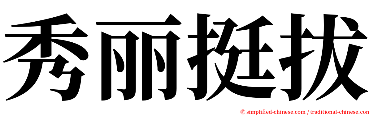 秀丽挺拔 serif font
