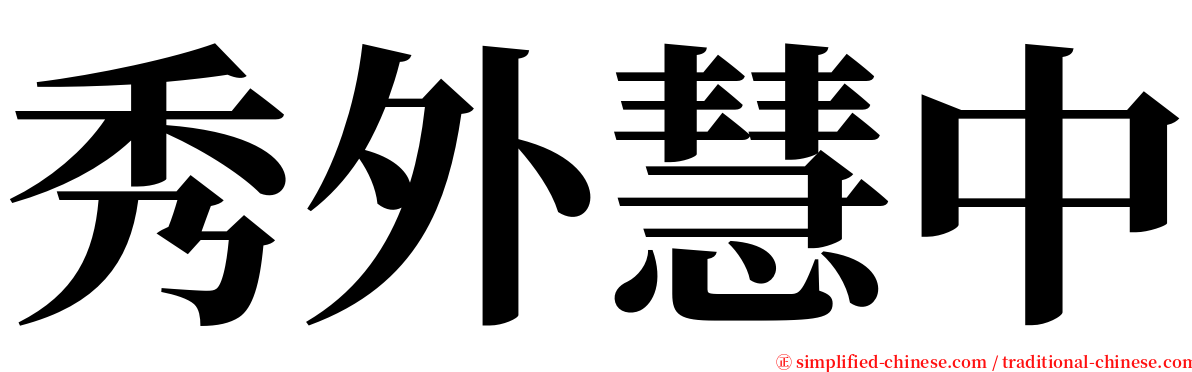 秀外慧中 serif font