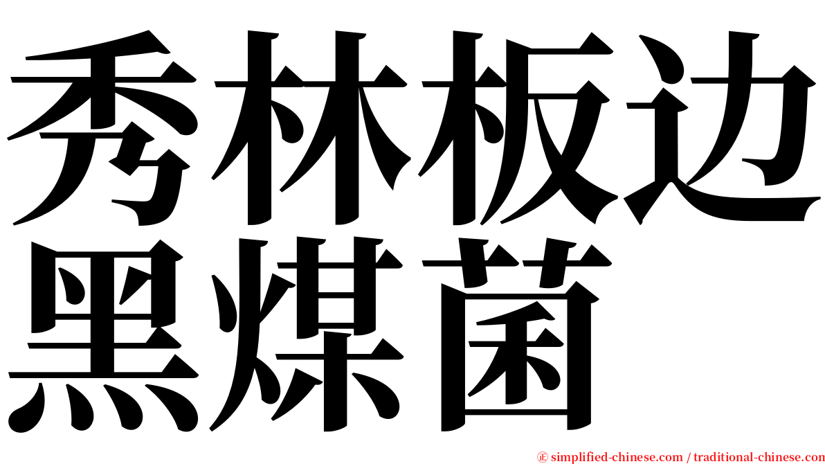 秀林板边黑煤菌 serif font