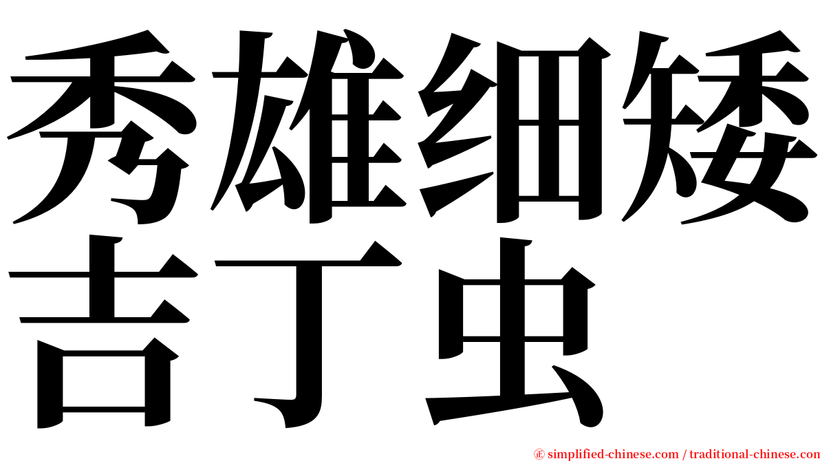 秀雄细矮吉丁虫 serif font