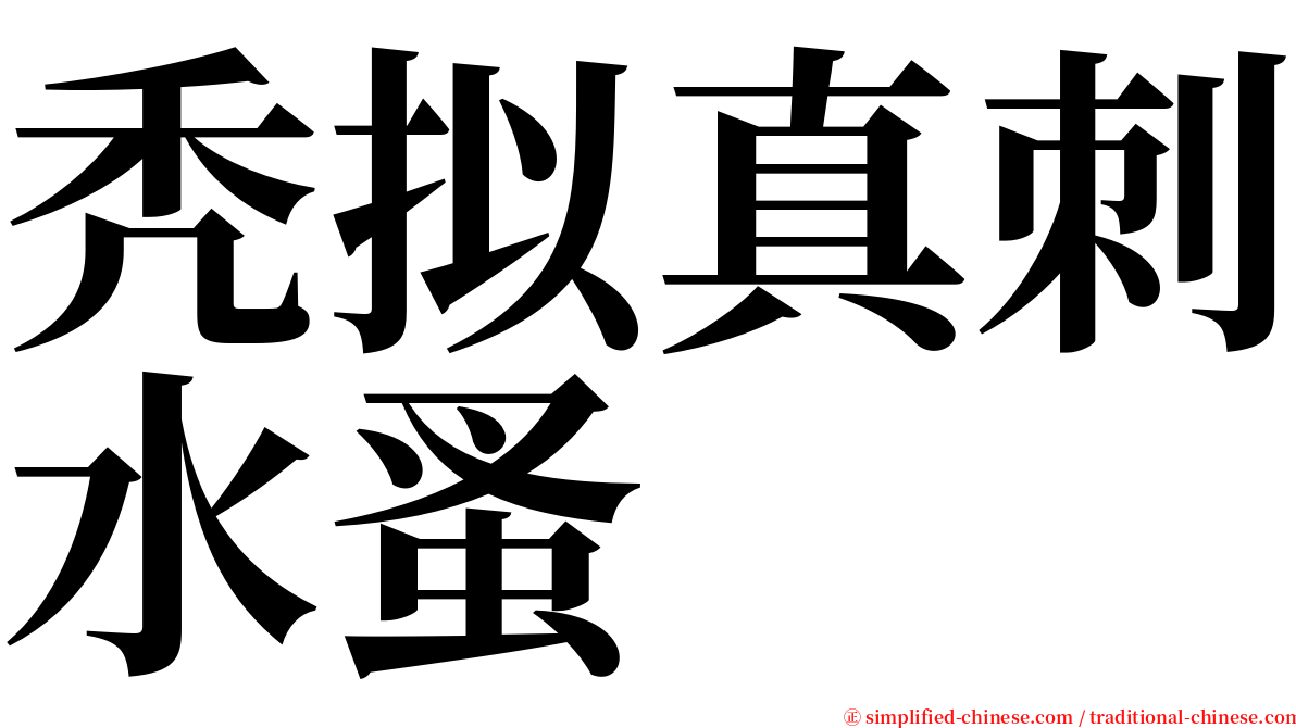 秃拟真刺水蚤 serif font