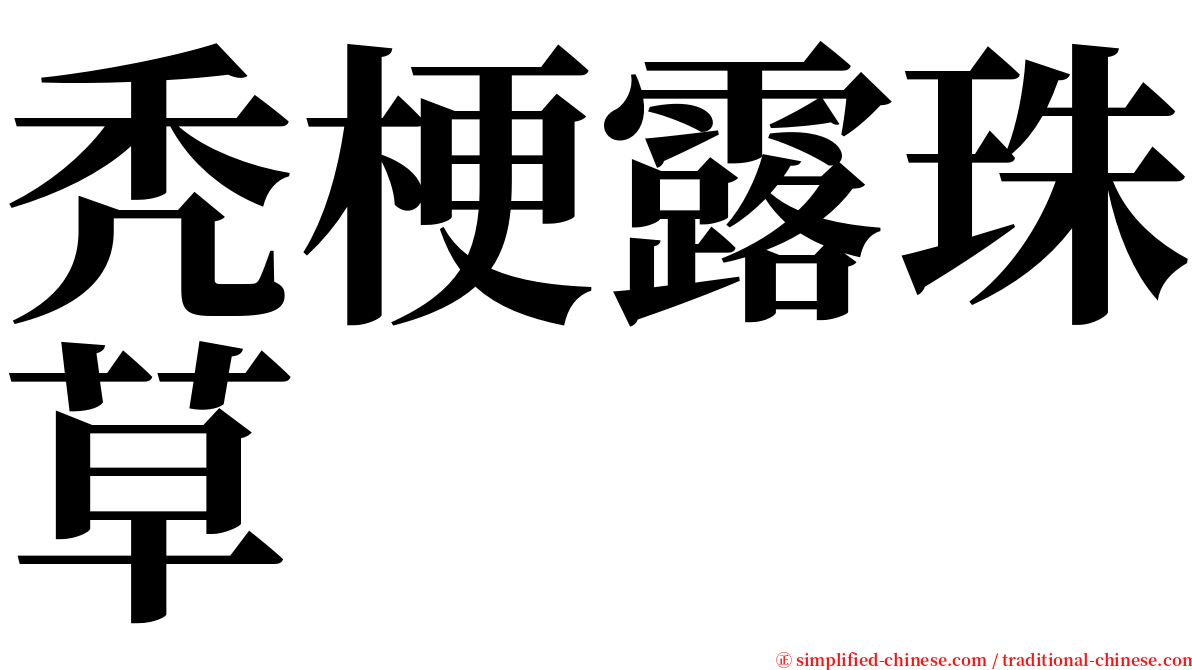 秃梗露珠草 serif font