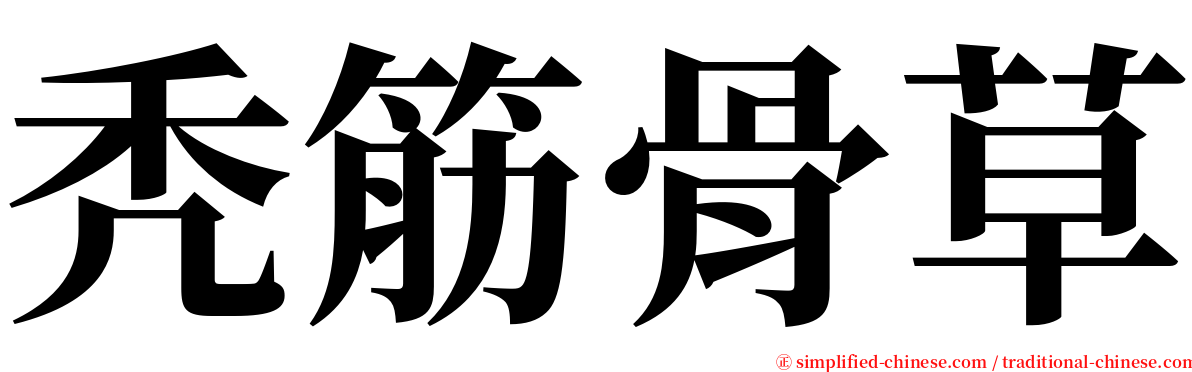 秃筋骨草 serif font