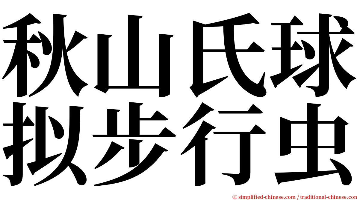 秋山氏球拟步行虫 serif font