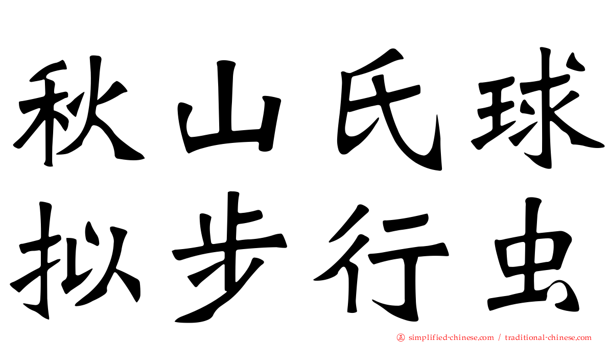 秋山氏球拟步行虫