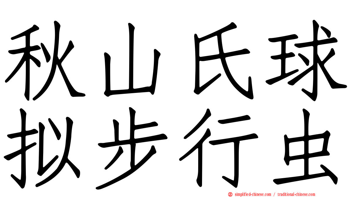 秋山氏球拟步行虫