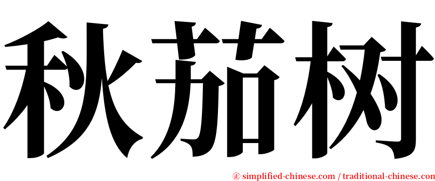 秋茄树 serif font