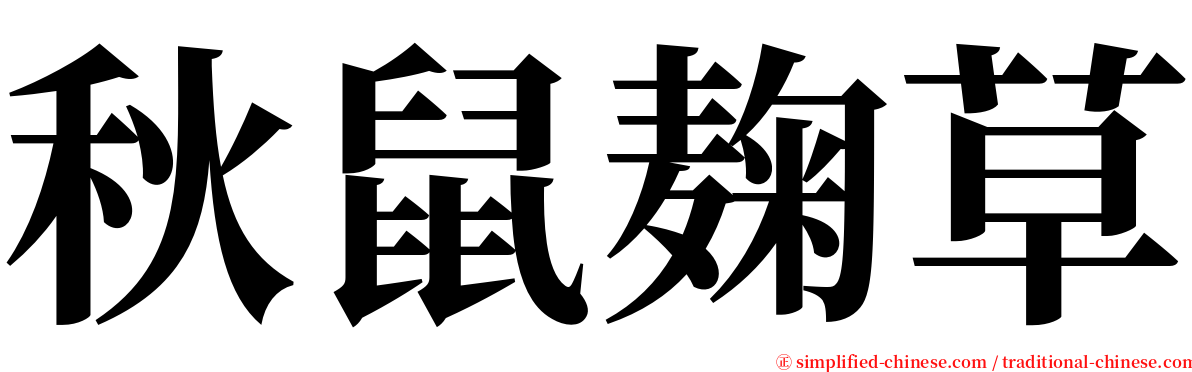 秋鼠麹草 serif font