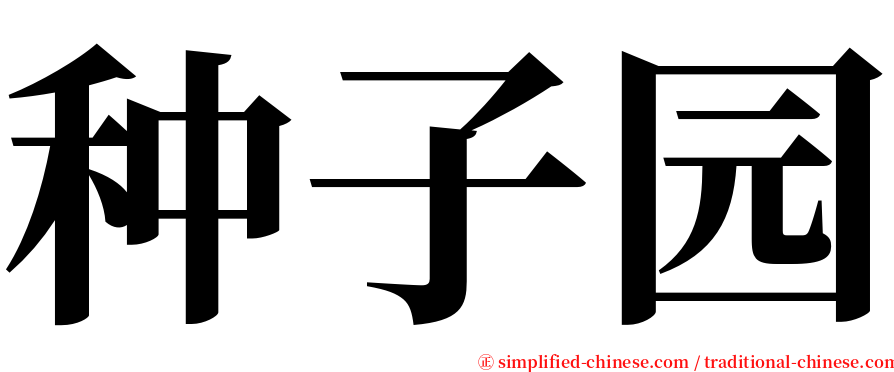 种子园 serif font