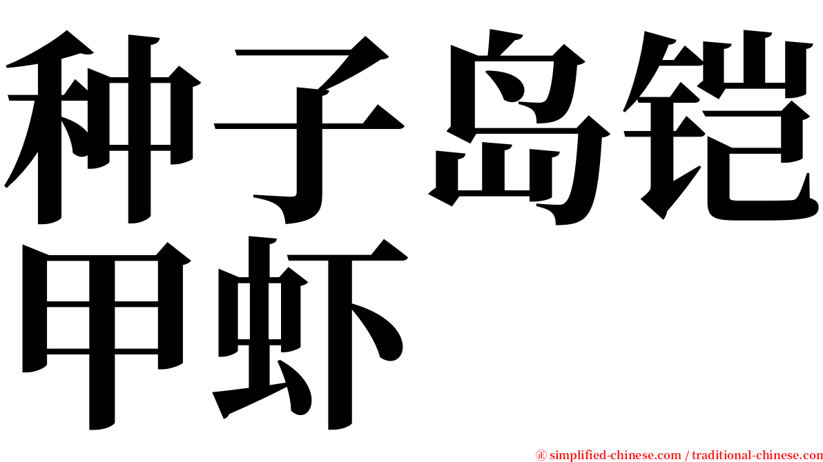 种子岛铠甲虾 serif font