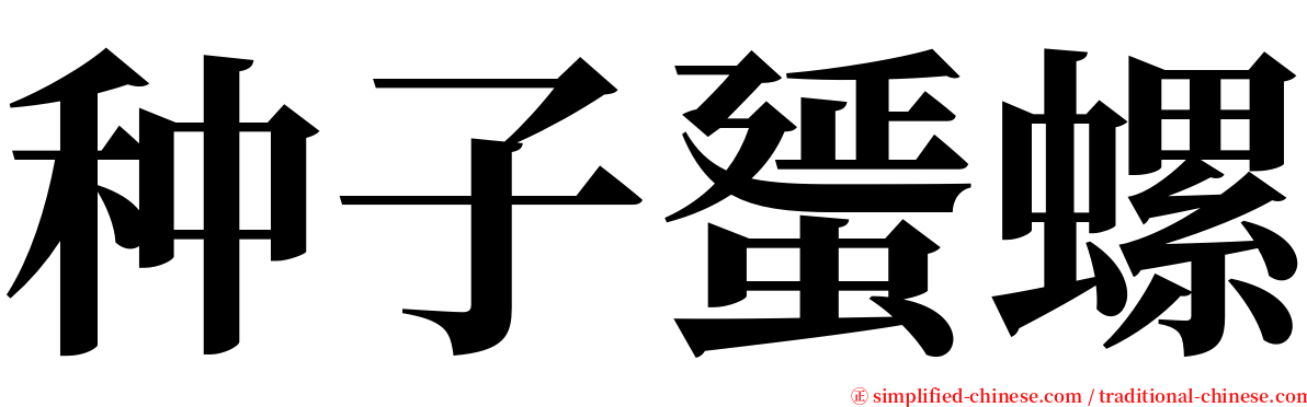 种子蜑螺 serif font