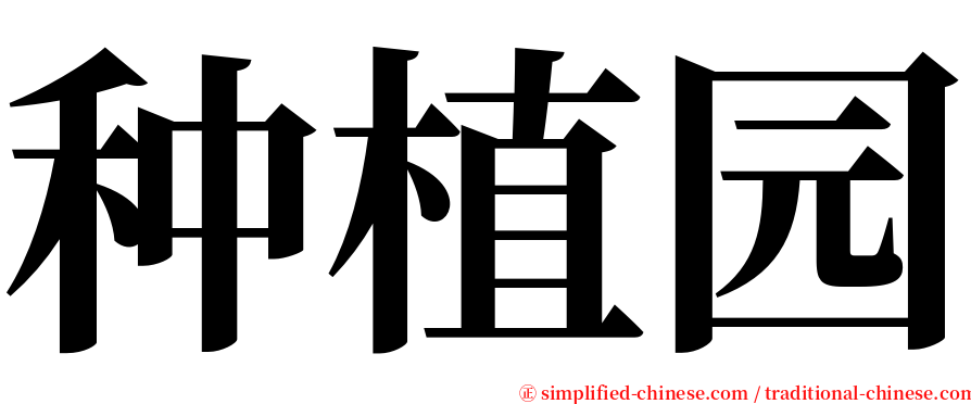 种植园 serif font