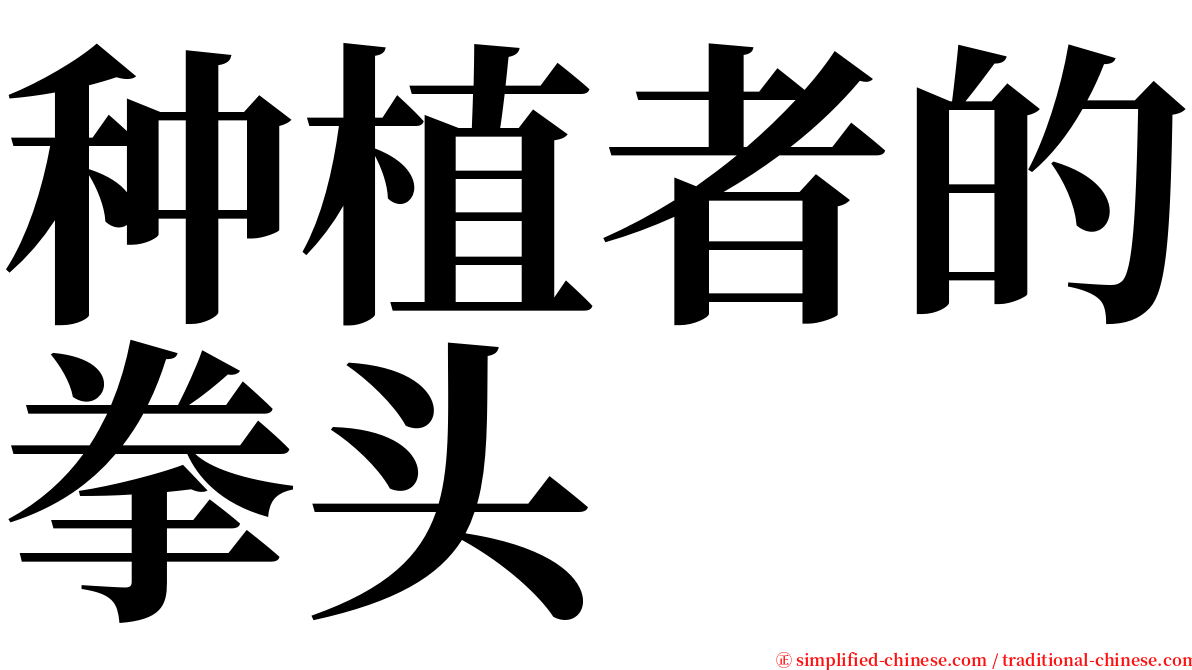 种植者的拳头 serif font