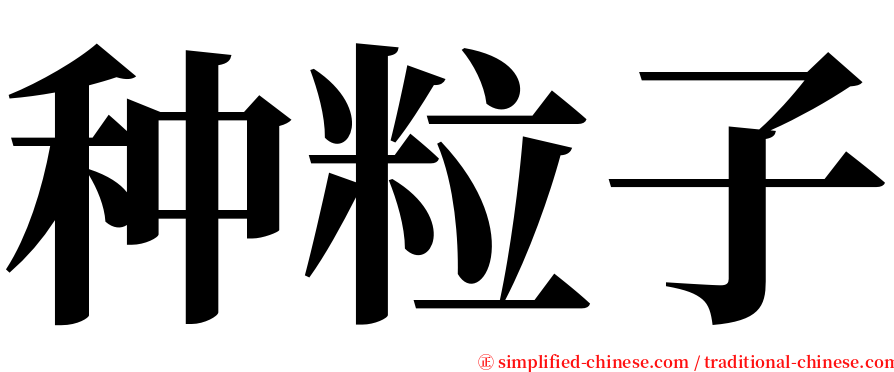 种粒子 serif font