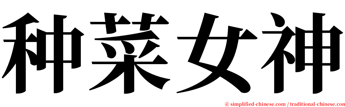 种菜女神 serif font