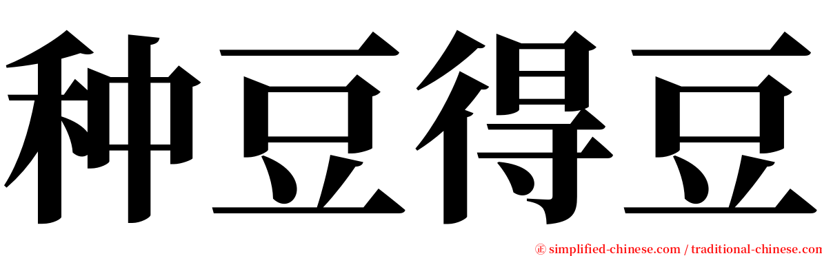 种豆得豆 serif font