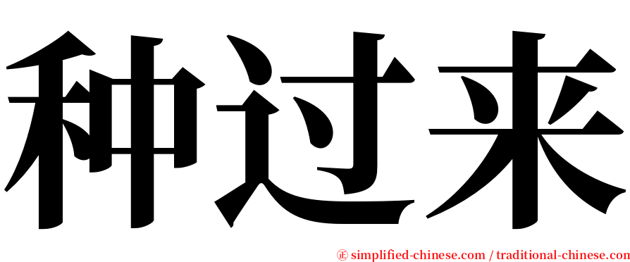 种过来 serif font