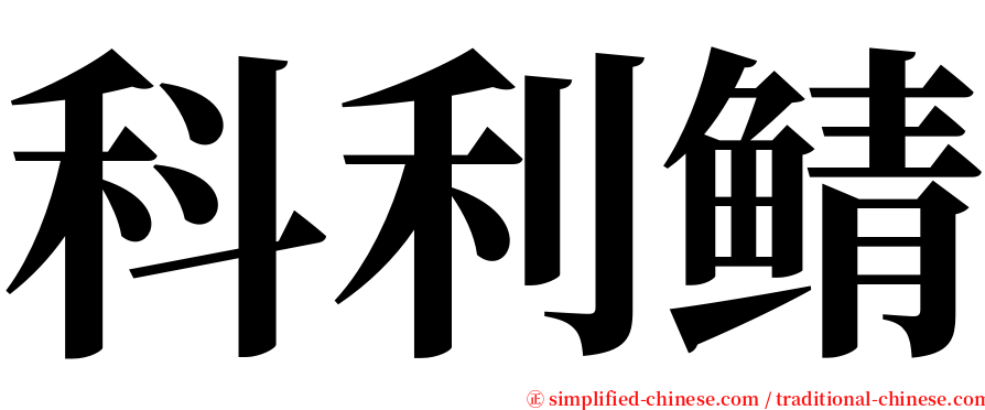 科利鲭 serif font