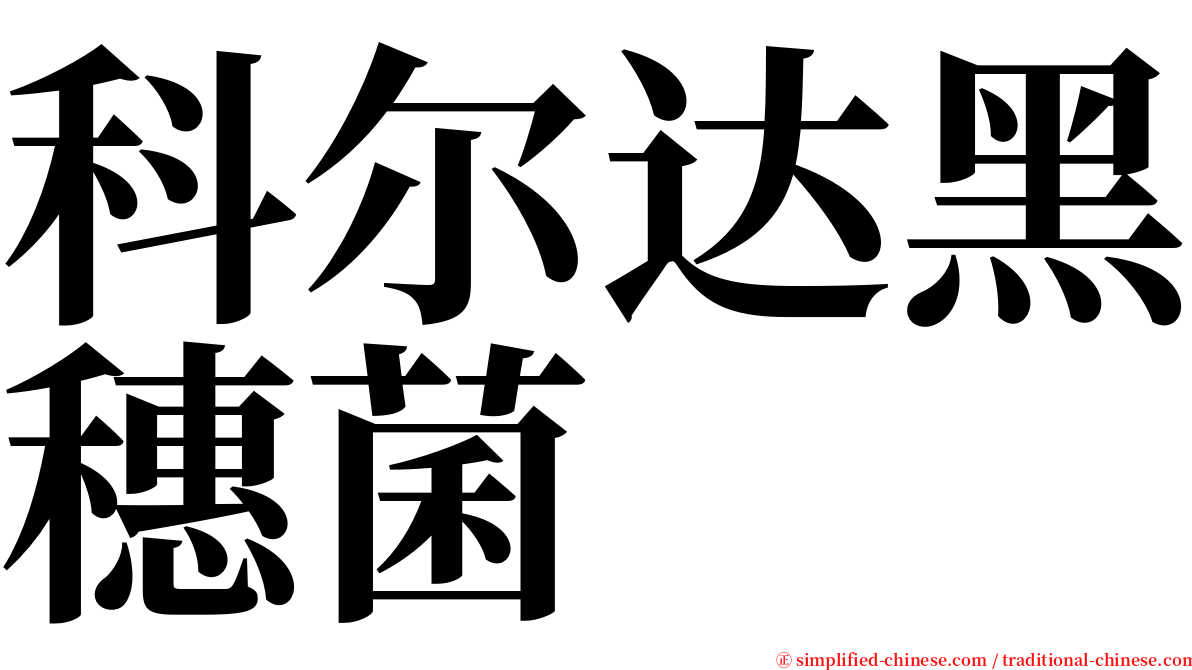 科尔达黑穗菌 serif font