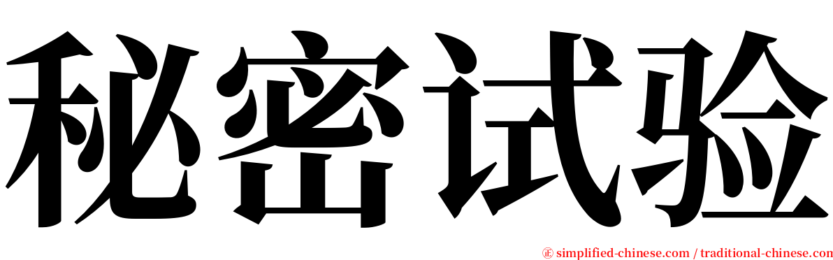 秘密试验 serif font