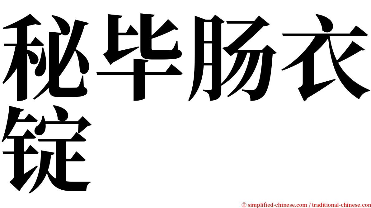 秘毕肠衣锭 serif font