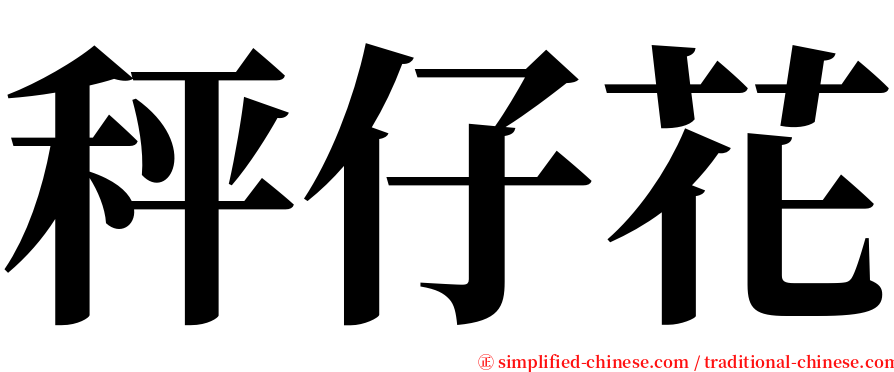 秤仔花 serif font