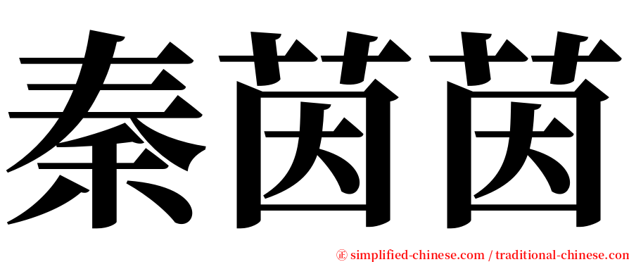 秦茵茵 serif font