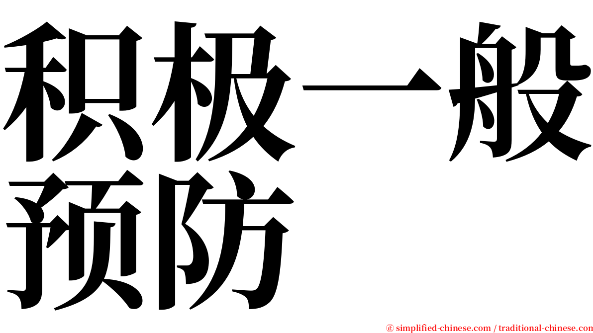 积极一般预防 serif font