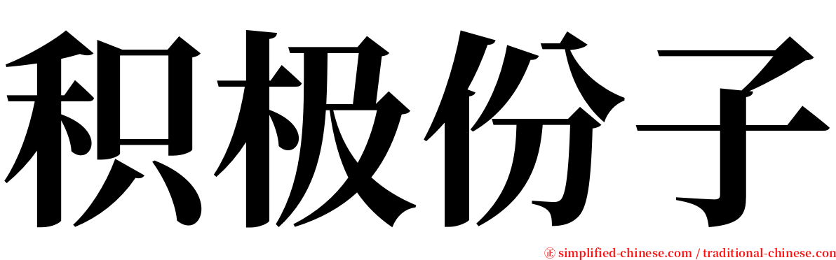 积极份子 serif font