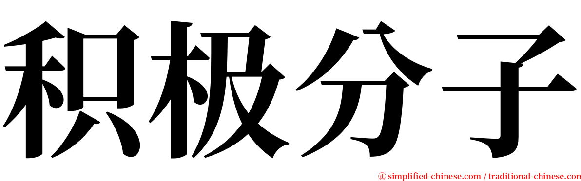 积极分子 serif font