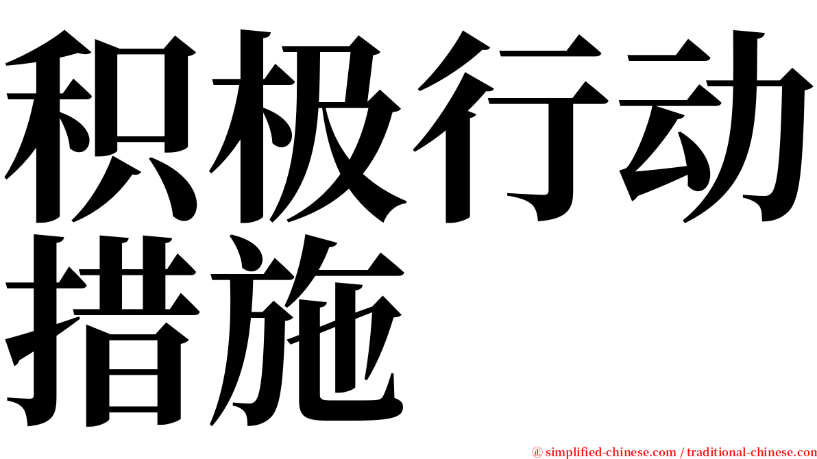 积极行动措施 serif font