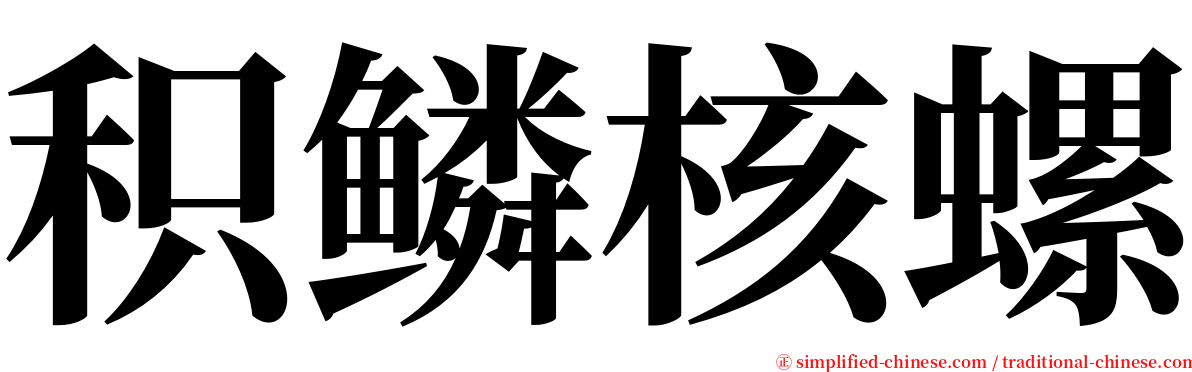 积鳞核螺 serif font