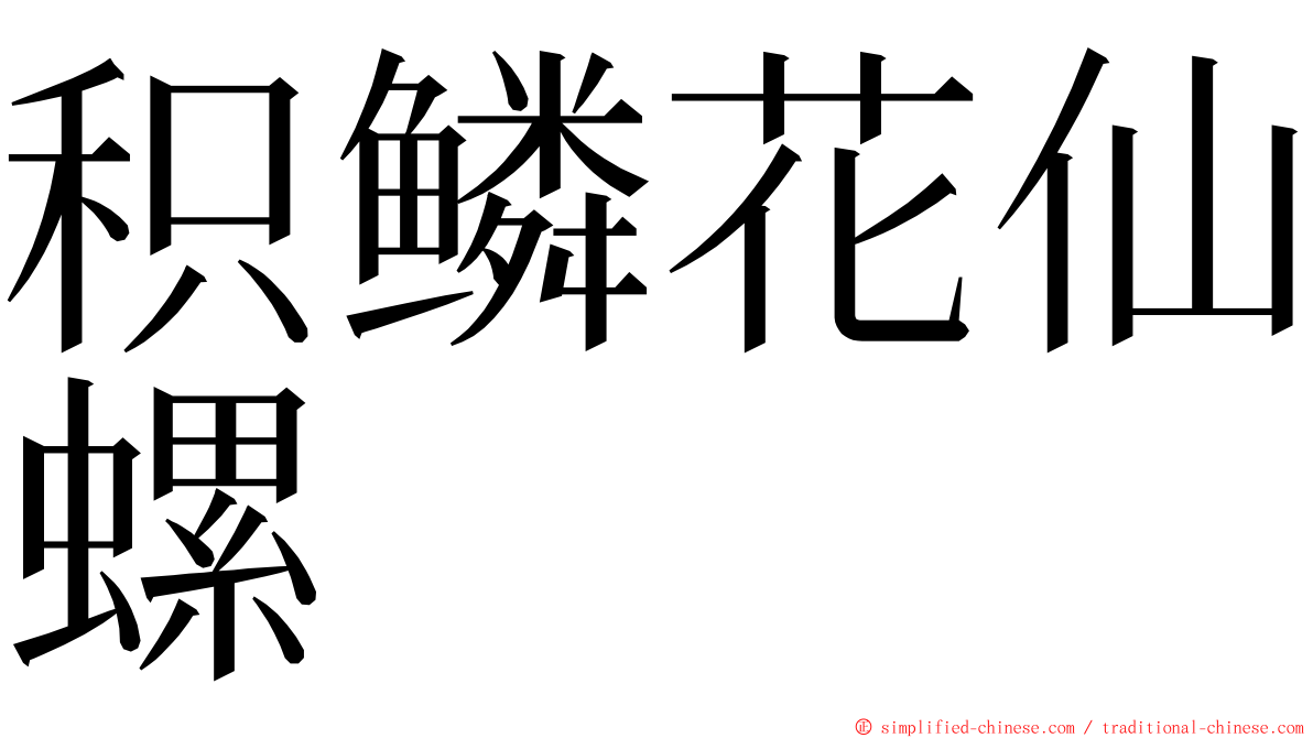 积鳞花仙螺 ming font