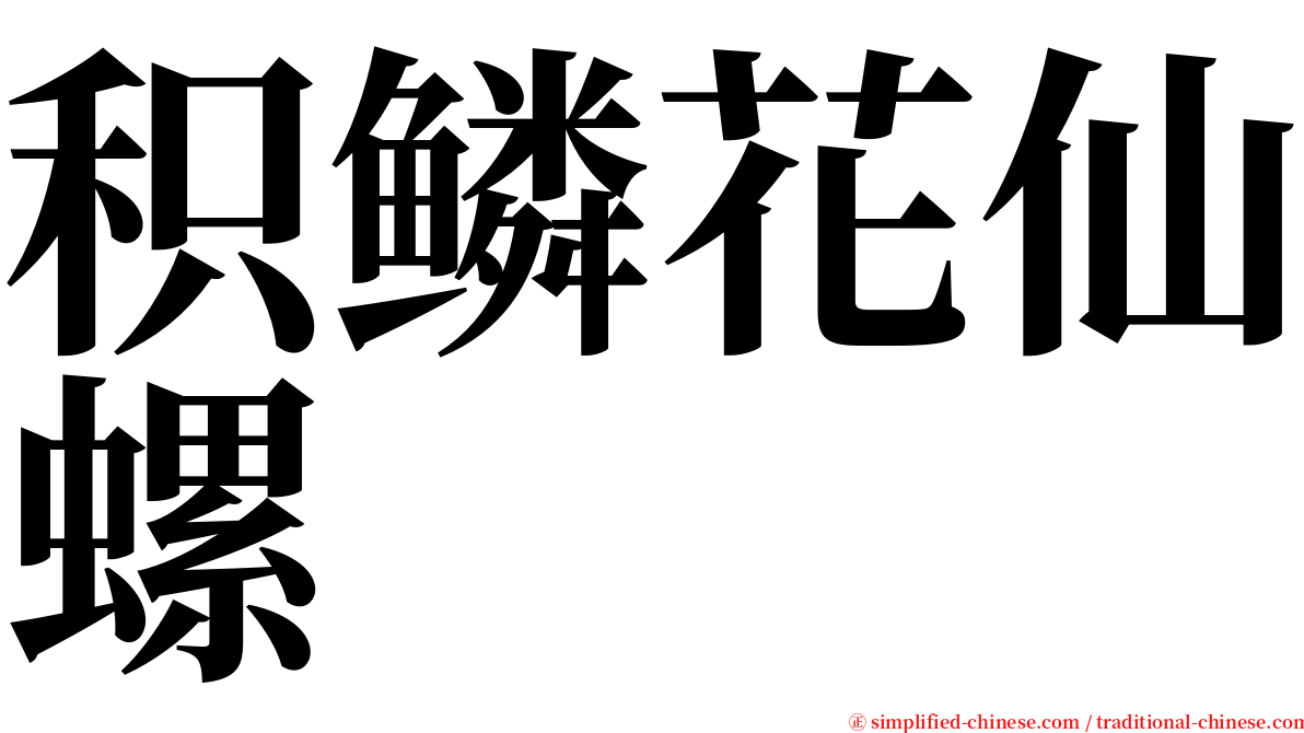 积鳞花仙螺 serif font