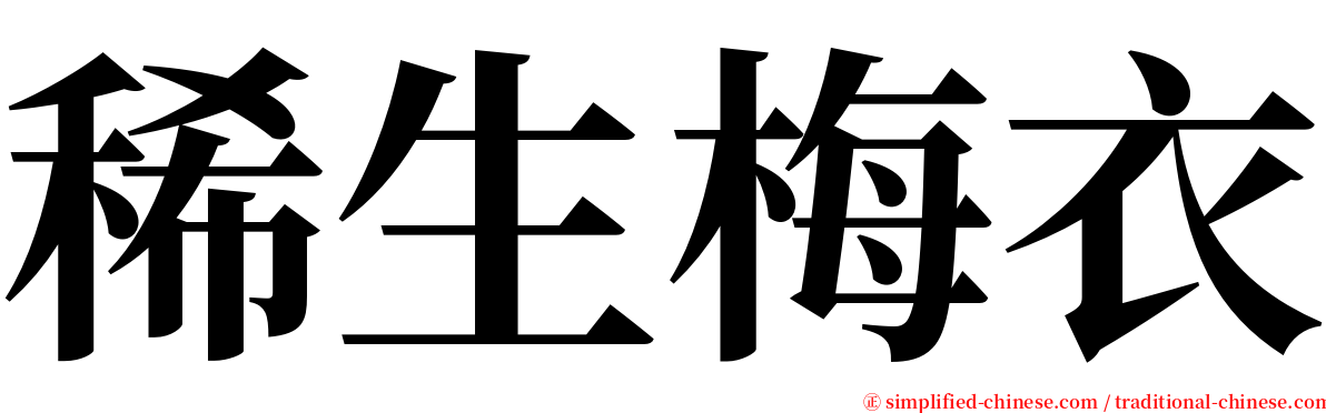 稀生梅衣 serif font