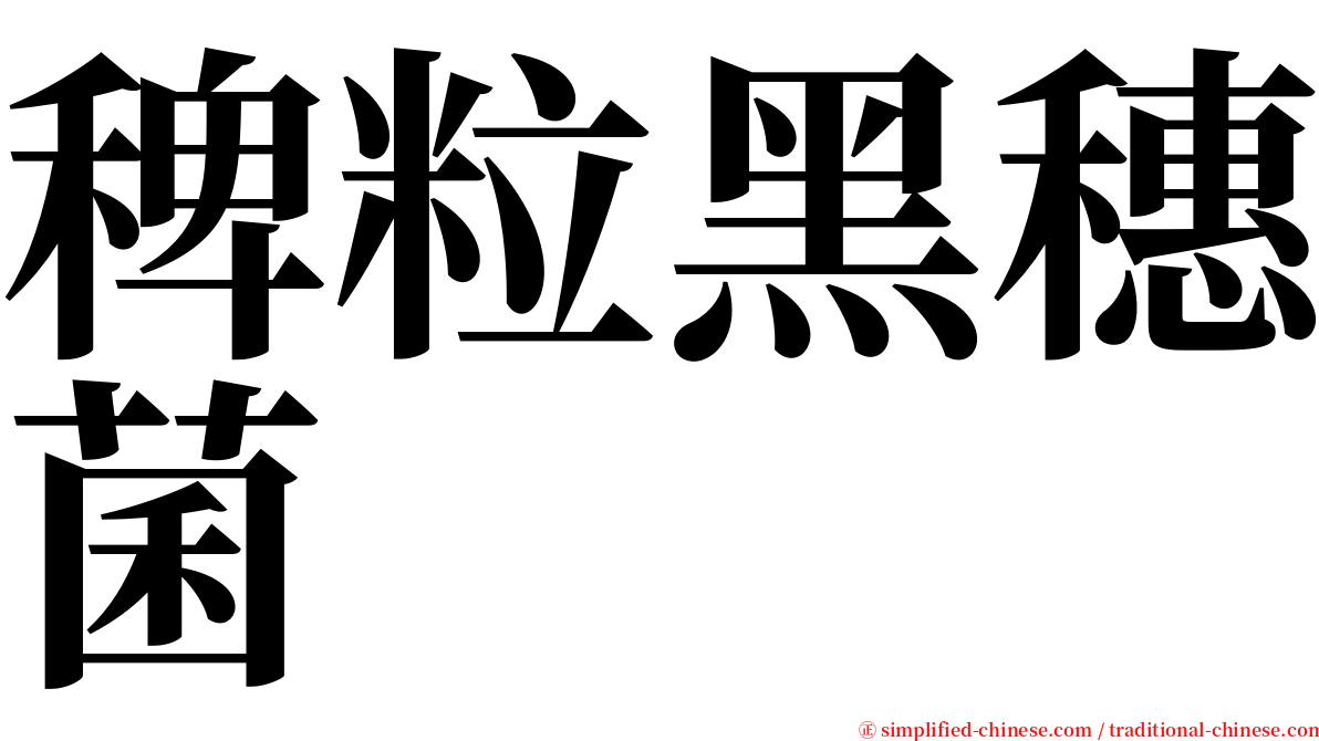 稗粒黑穗菌 serif font