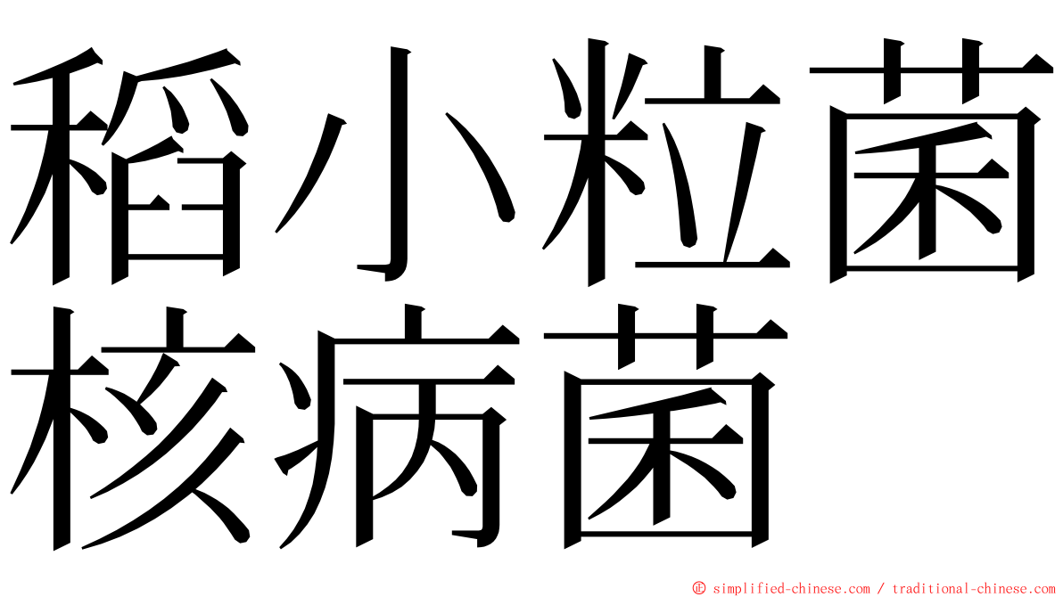 稻小粒菌核病菌 ming font