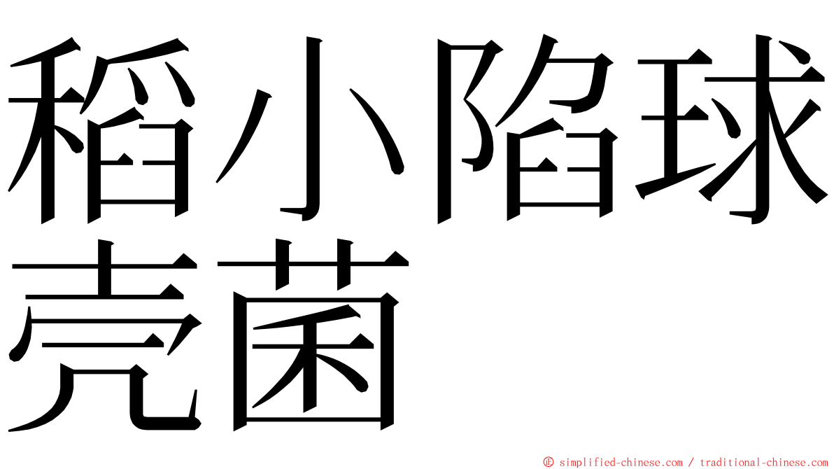 稻小陷球壳菌 ming font