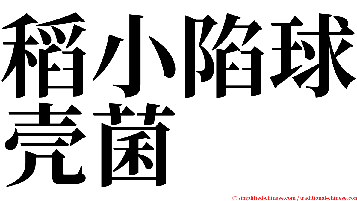 稻小陷球壳菌 serif font