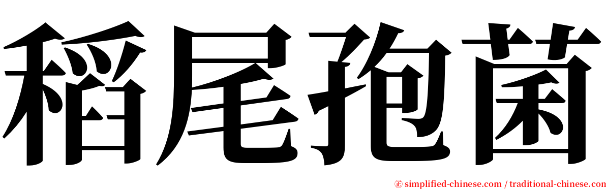 稻尾孢菌 serif font