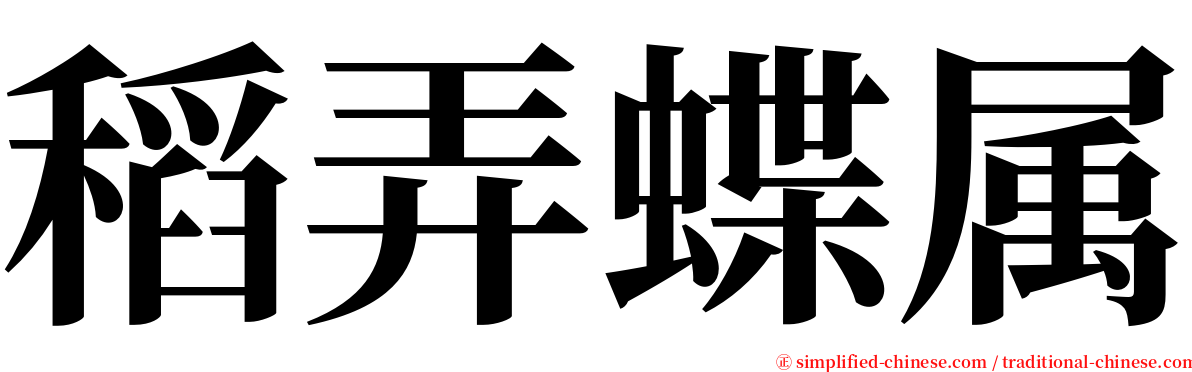 稻弄蝶属 serif font