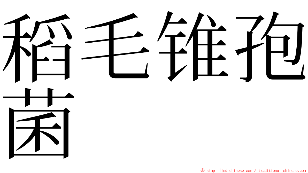 稻毛锥孢菌 ming font