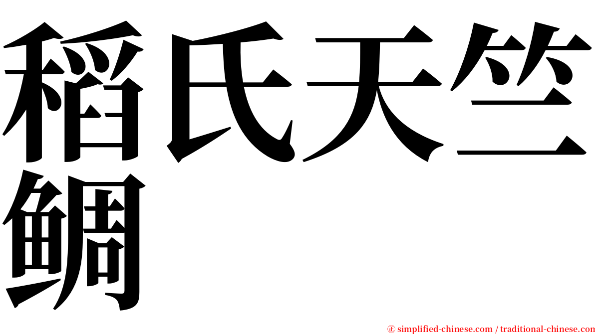 稻氏天竺鲷 serif font